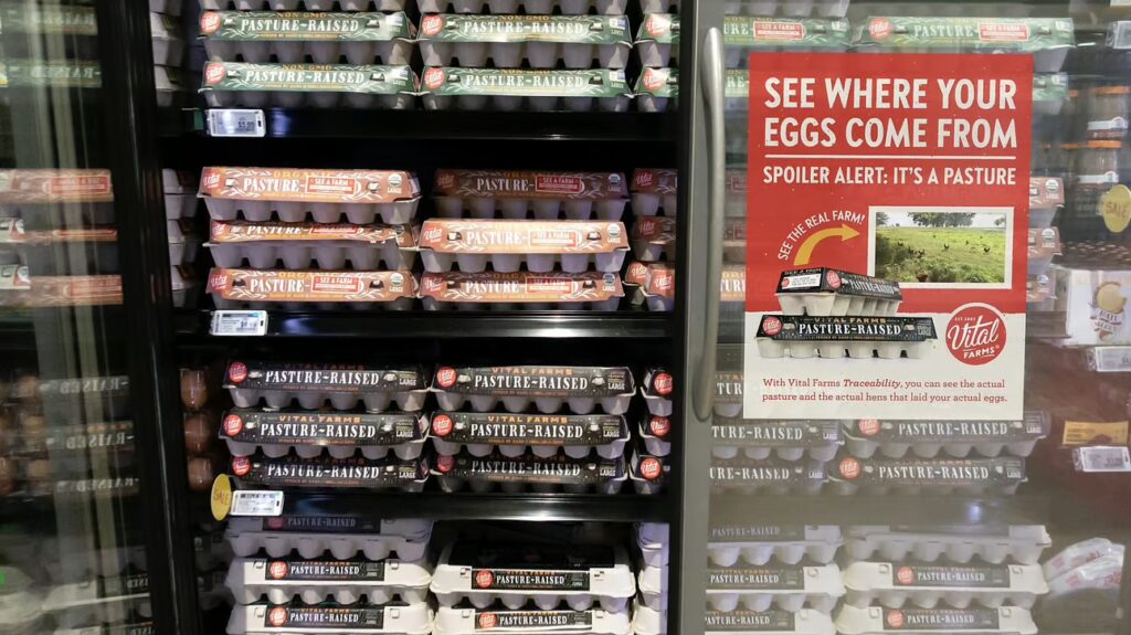where eggs come from