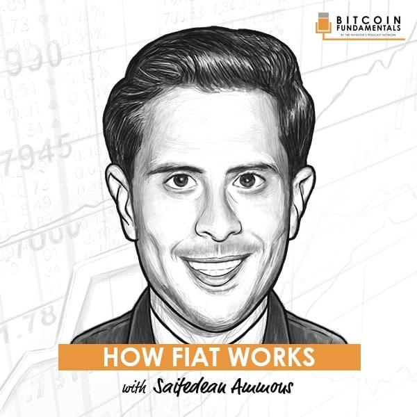 how-fiat-works-saifedean-ammous-artwork-optimized-updated