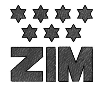 zim-intrinsic-value