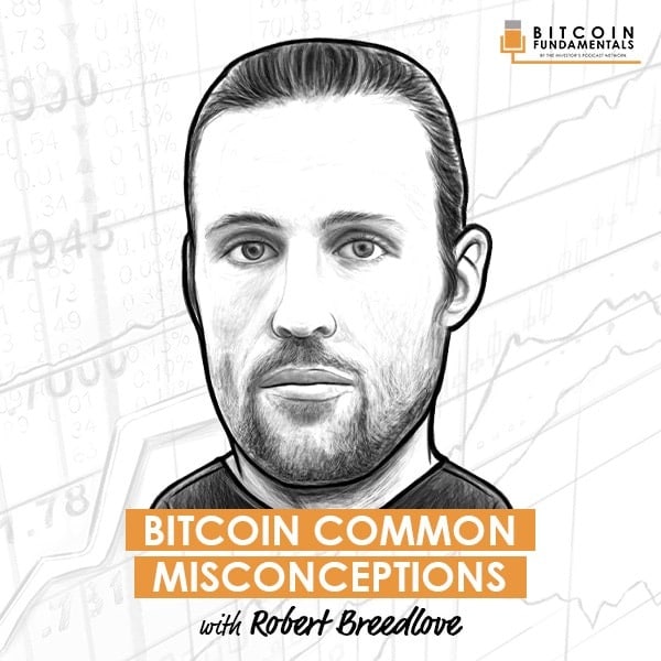 bitcoin-common-misconceptions-robert-breedlove-artwork-optimized-updated