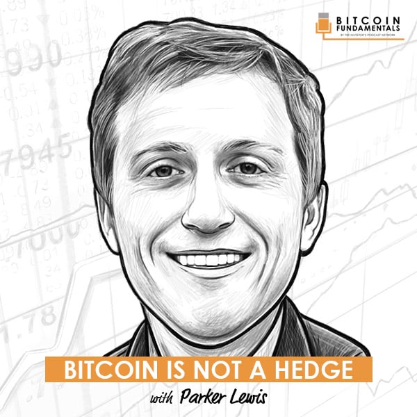 bitcoin-is-not-a-hedge-parker-lewis-artwork-optimized