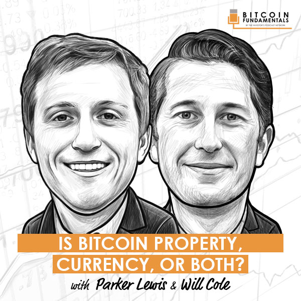 is-bitcoin-property-currency-or-both-parker-lewis-will-cole