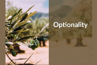 Optionality-When-To-Keep-Your-Options-Open-and-When-To-Commit1