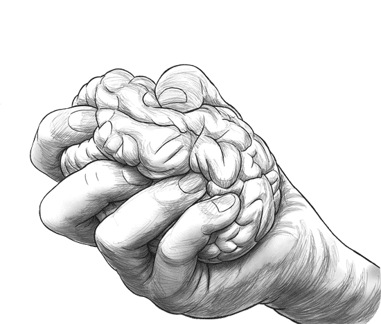brain brain